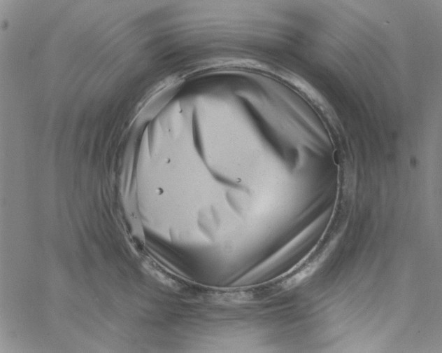 X0000061731001200512231430