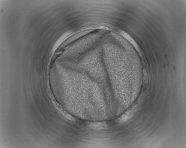 X0000061731002200512231430