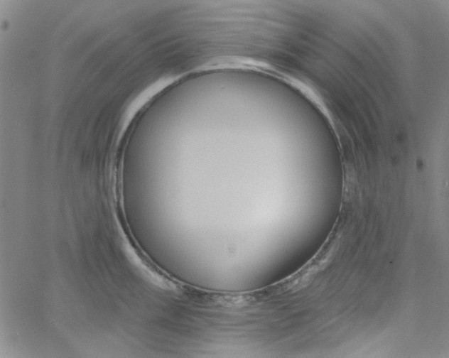 X0000061731003200512231430