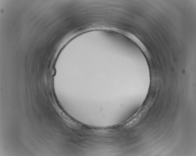 X0000061731004200512231430