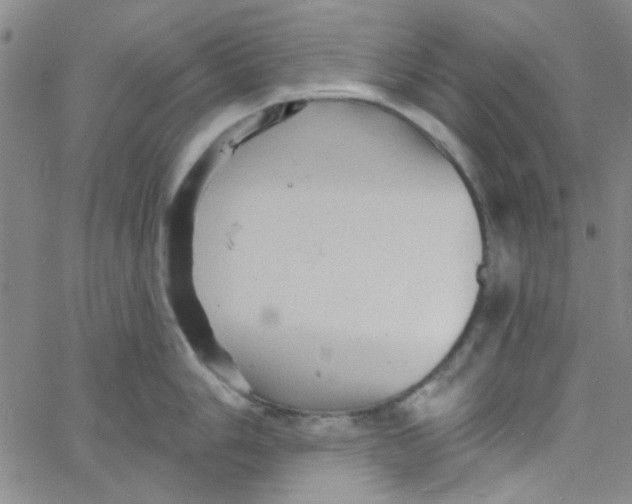 X0000061731006200512231430