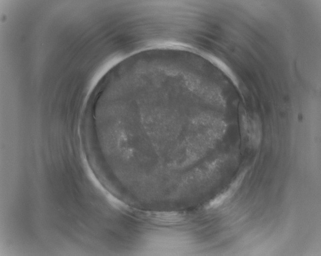 X0000061731007200512231430