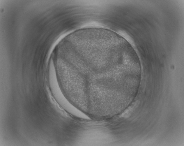 X0000061731008200512231430