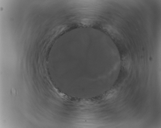 X0000061731009200512231429