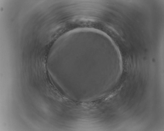 X0000061731013200512231429