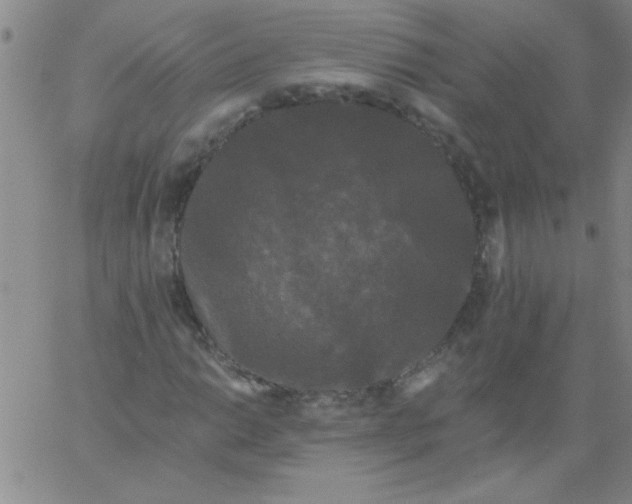 X0000061731014200512231429