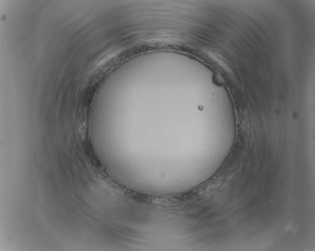 X0000061731015200512231429