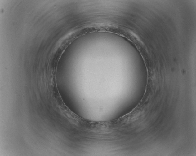 X0000061731016200512231429