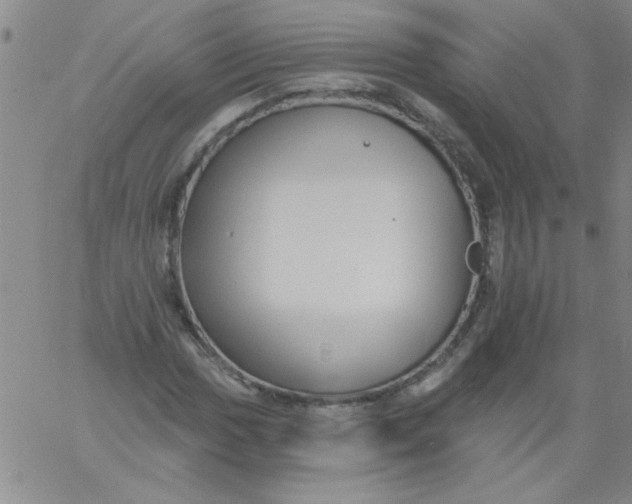 X0000061731017200512231429