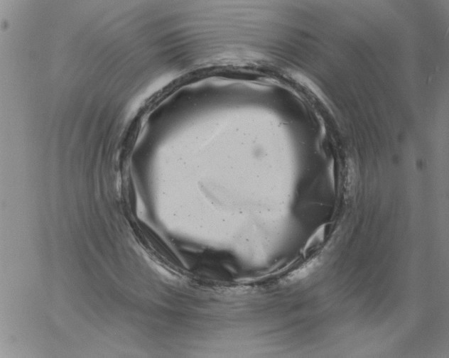 X0000061731018200512231429