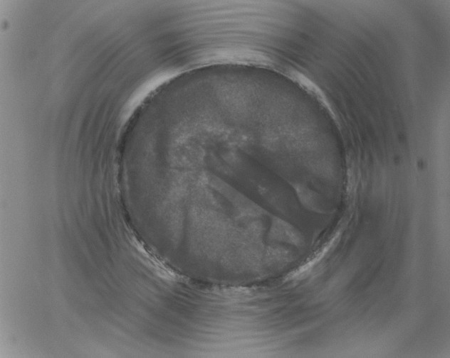 X0000061731019200512231429