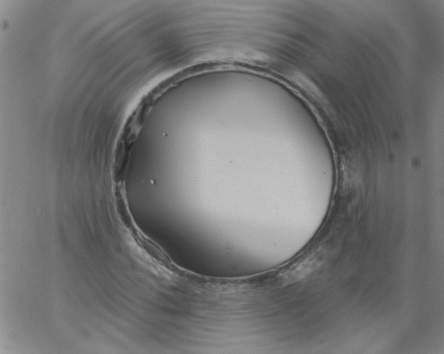 X0000061731020200512231429