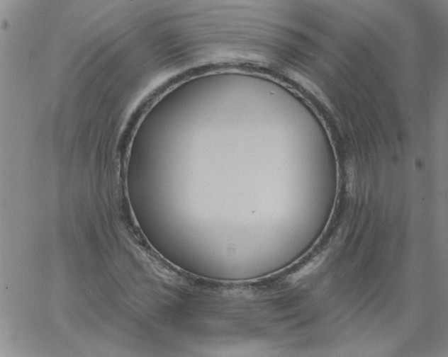 X0000061731021200512231429