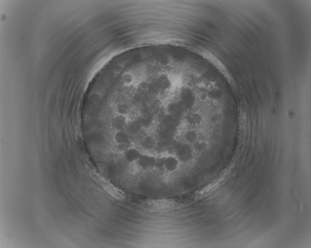 X0000061731023200512231429