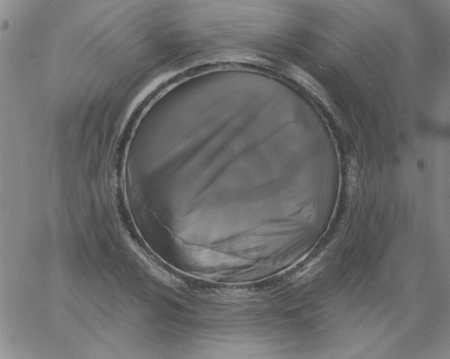 X0000061731024200512231429