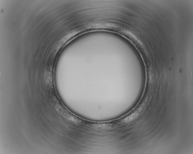 X0000061731025200512231429