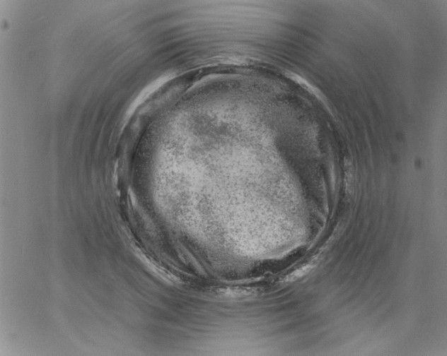 X0000061731026200512231429