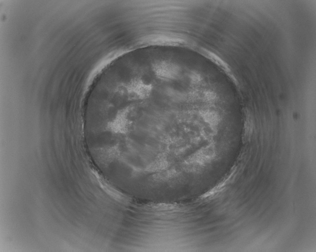 X0000061731027200512231429