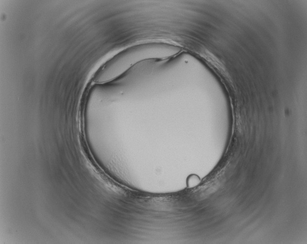 X0000061731028200512231429