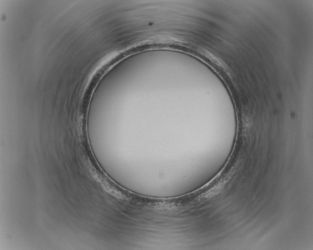 X0000061731029200512231429