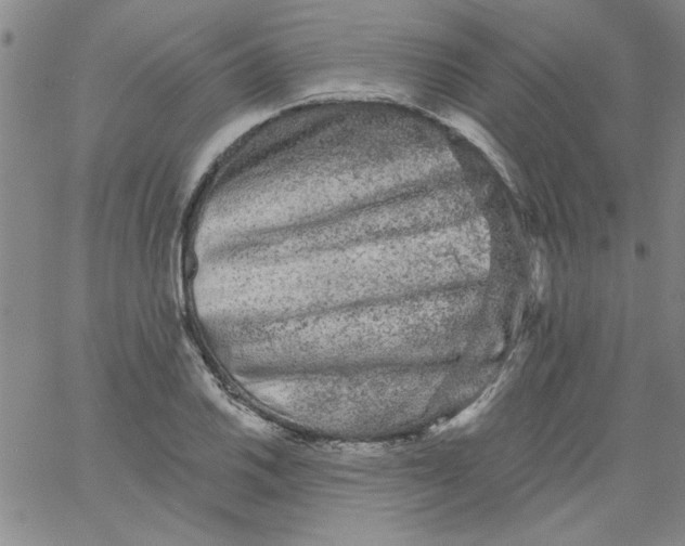 X0000061731030200512231429