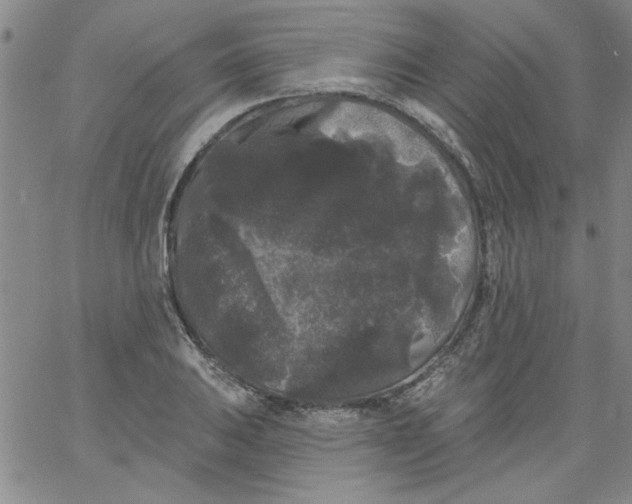 X0000061731031200512231429