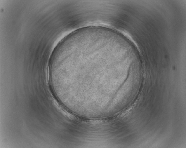 X0000061731032200512231429