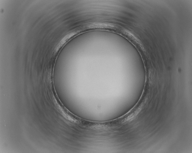 X0000061731033200512231429