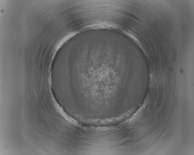 X0000061731034200512231429