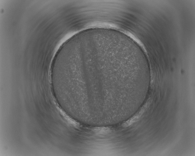 X0000061731037200512231429