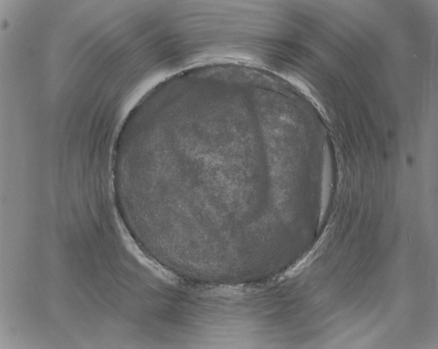 X0000061731038200512231429