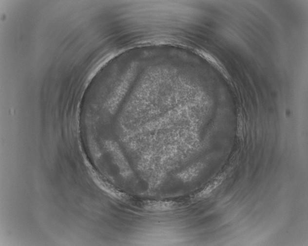 X0000061731039200512231429