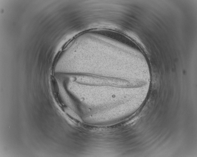 X0000061731040200512231429