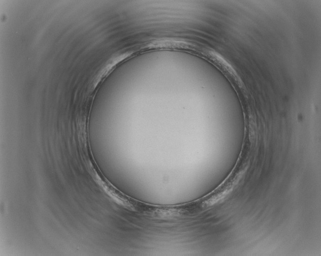 X0000061731041200512231429