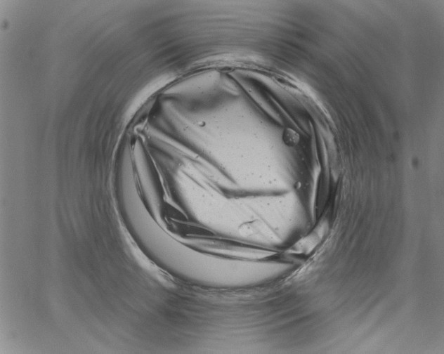 X0000061731042200512231429