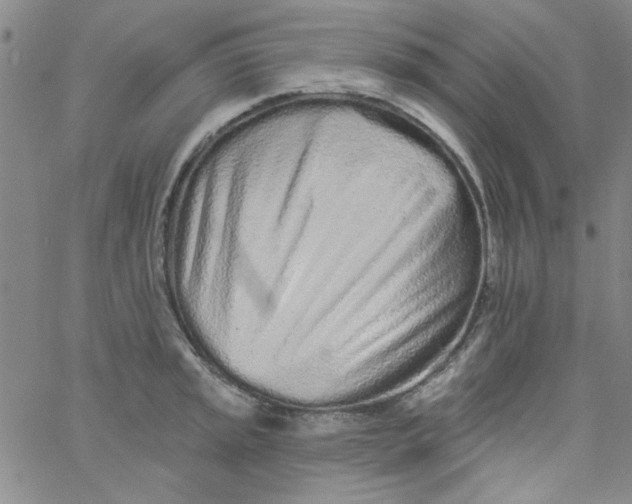 X0000061731045200512231429