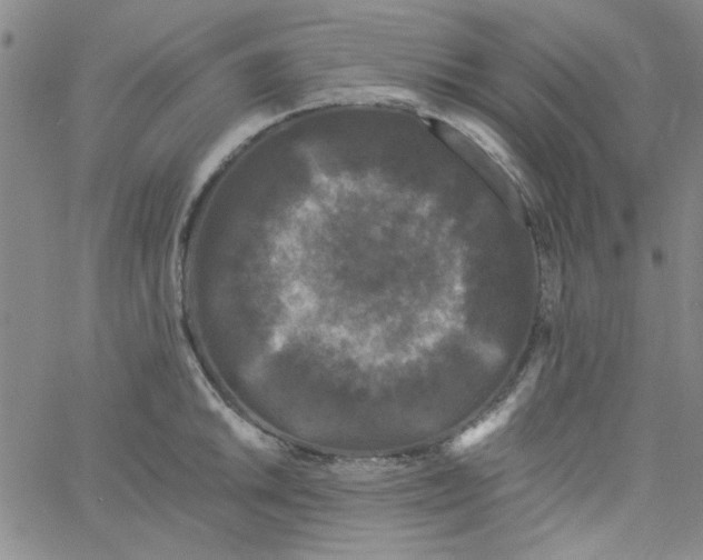 X0000061731046200512231430