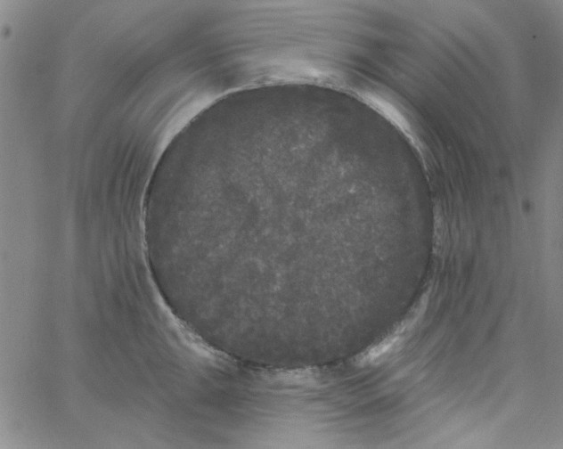 X0000061731047200512231430