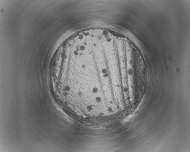 X0000061731048200512231430