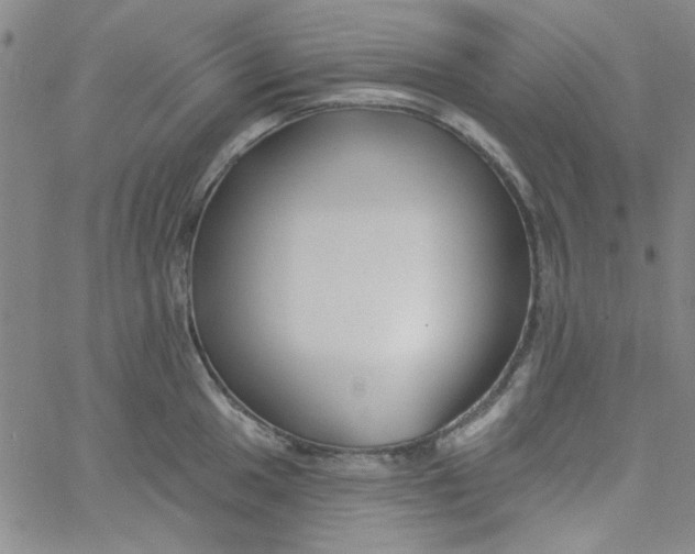 X0000061731049200512231430