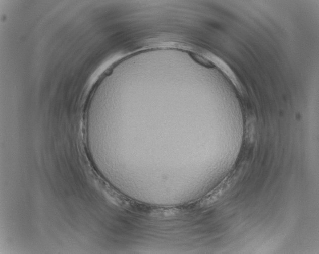 X0000061731051200512231430