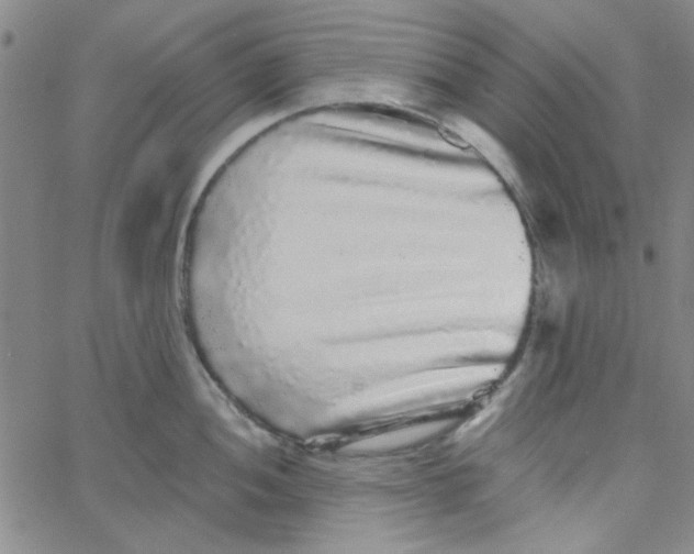 X0000061731052200512231430