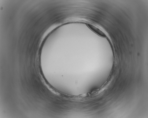 X0000061731053200512231430