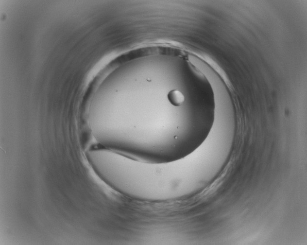 X0000061731054200512231430