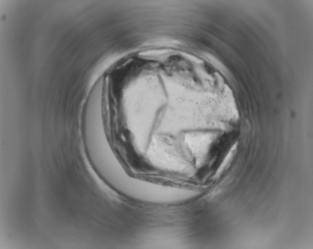 X0000061731055200512231430