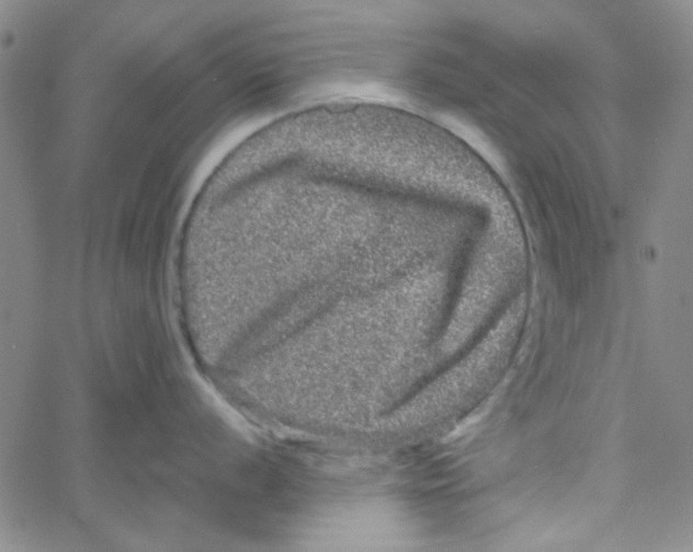 X0000061731056200512231430