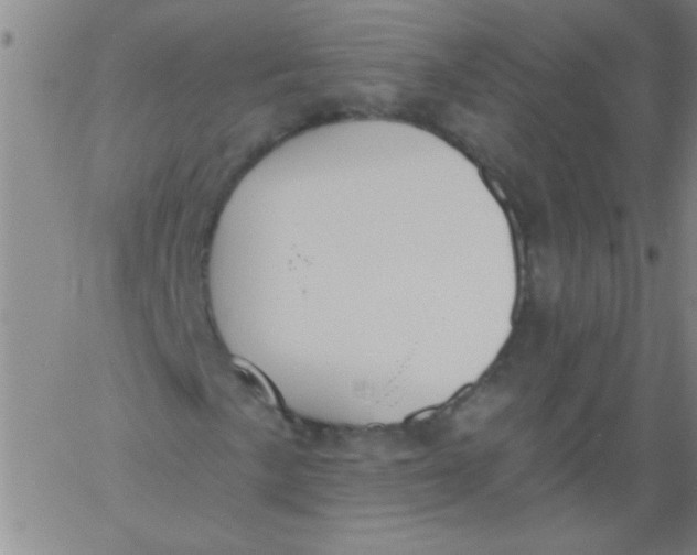 X0000061731057200512231429