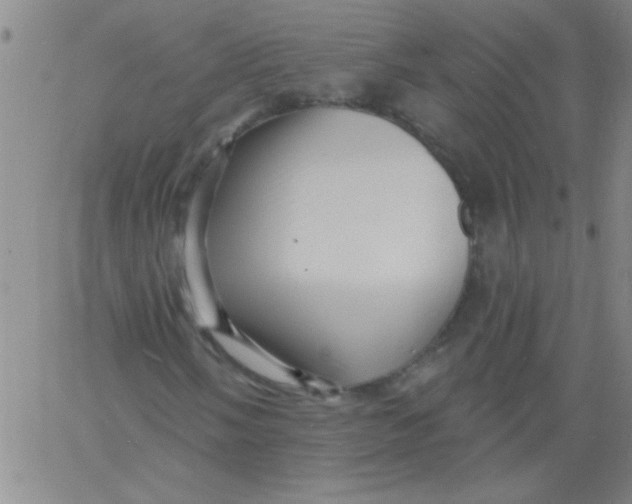 X0000061731058200512231429