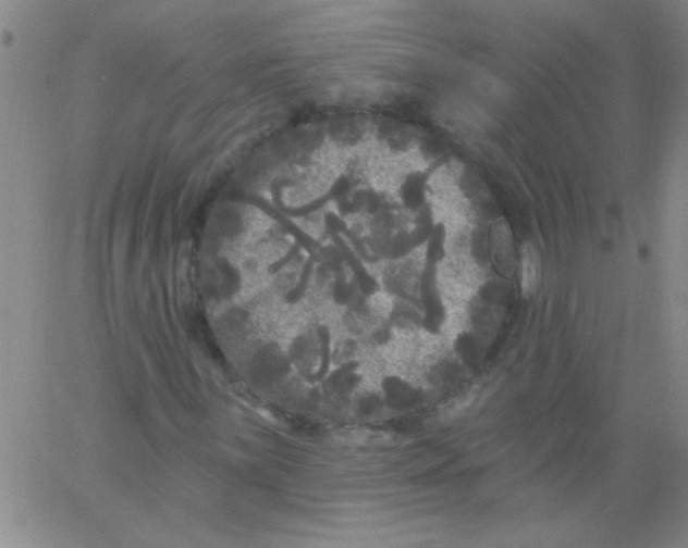 X0000061731059200512231429