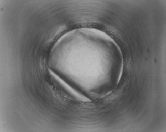 X0000061731060200512231429